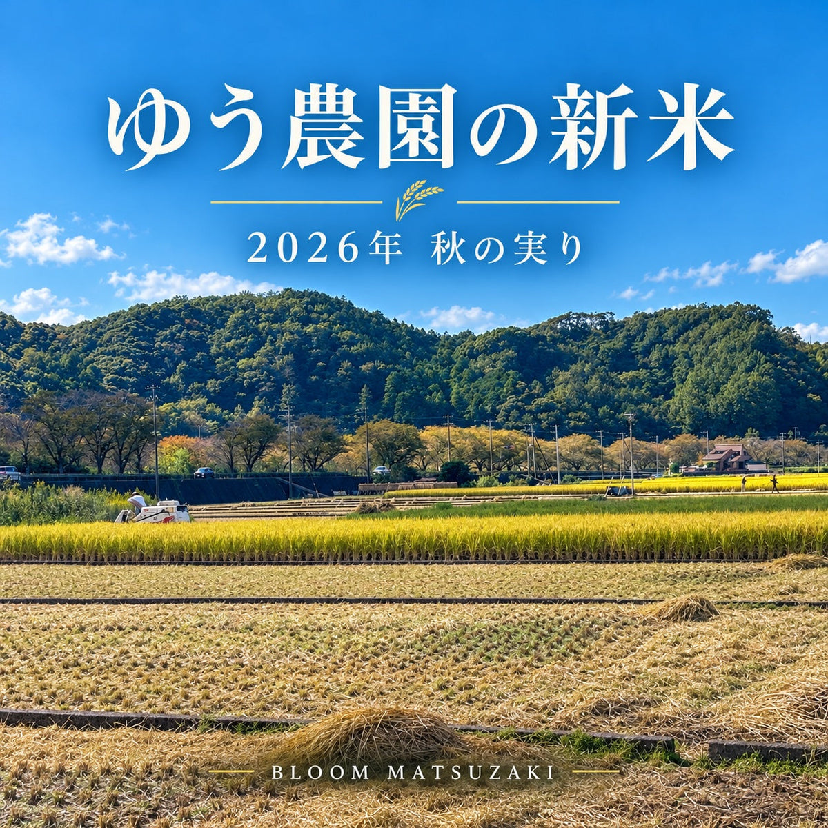 黄金色の田んぼから、みなさまの食卓へ。ゆう農園の2026年産新米
