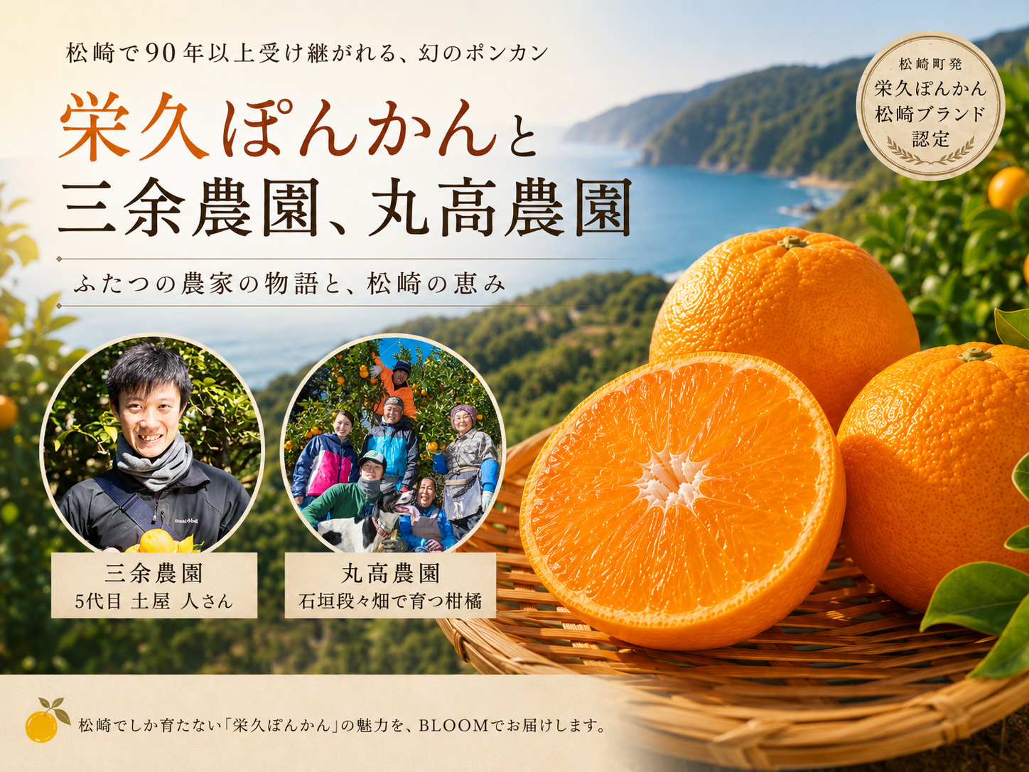 栄久ぽんかんが生まれた松崎町|三余農園と丸高農園、ふたつの物語