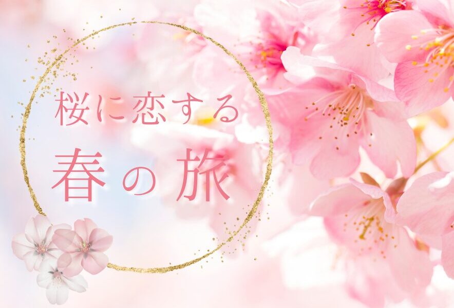 松崎町　開花情報とイベント情報はこちら