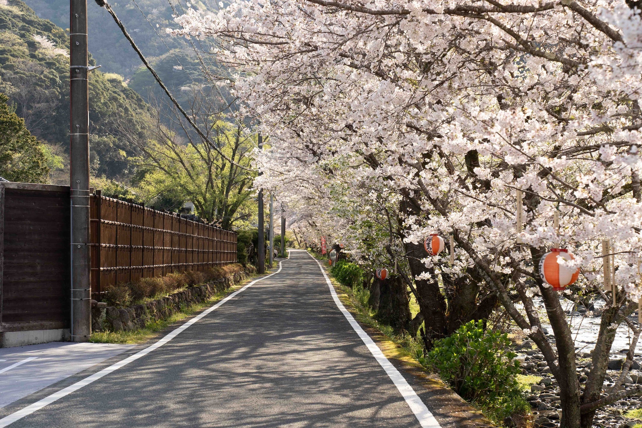 桜葉スイーツ