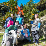 生産者　丸高農園