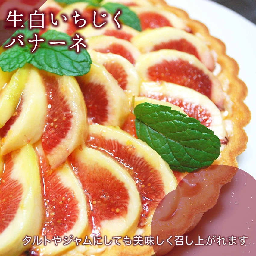 婆娑羅農産　生白いちじく  バナーネ